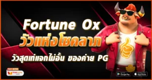 Fortune Ox-tcsoinfo
