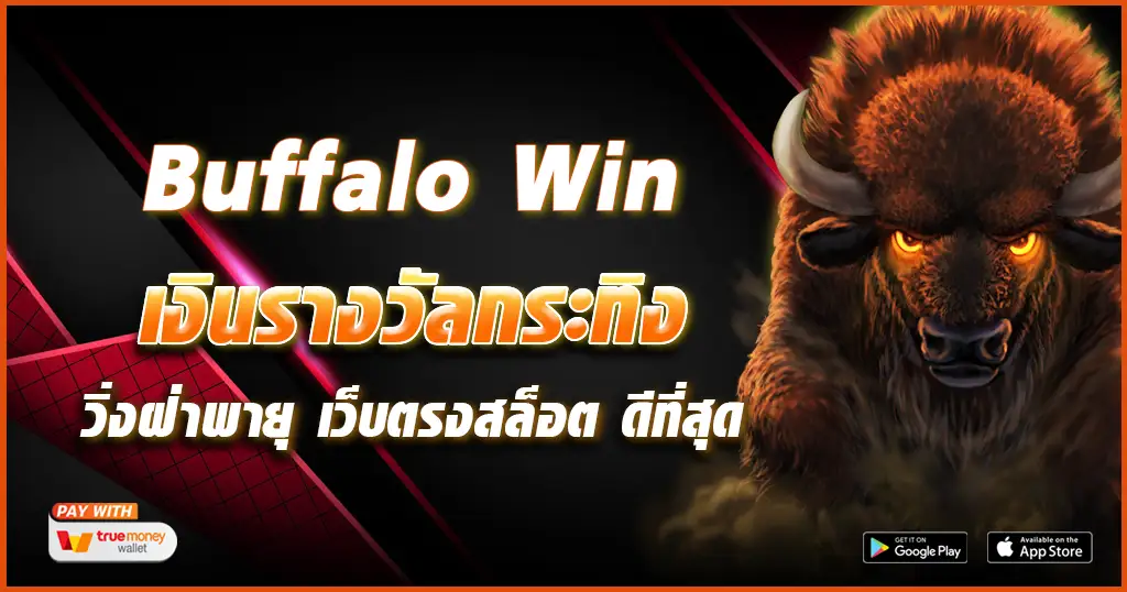 Buffalo Win-tcsoinfo