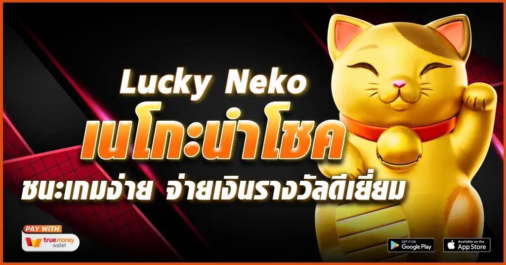 Lucky Neko-tcsoinfo