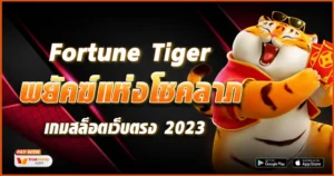 Fortune Tiger-tcsoinfo